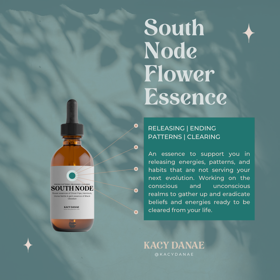 South Node Flower Essence